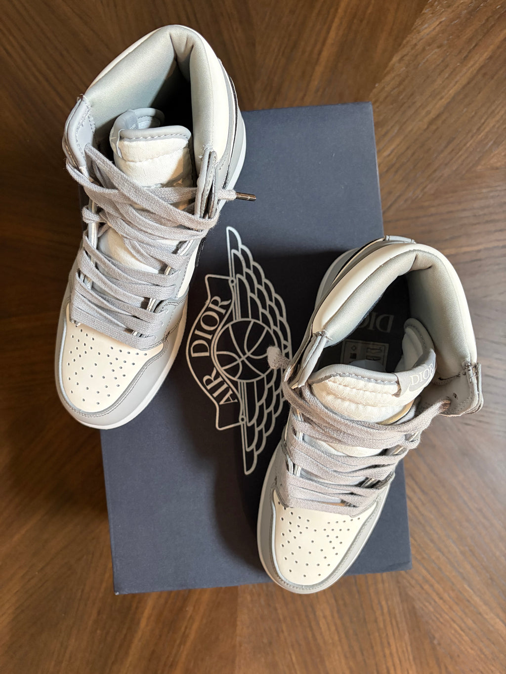 Air Jordan 1 Retro High Dior